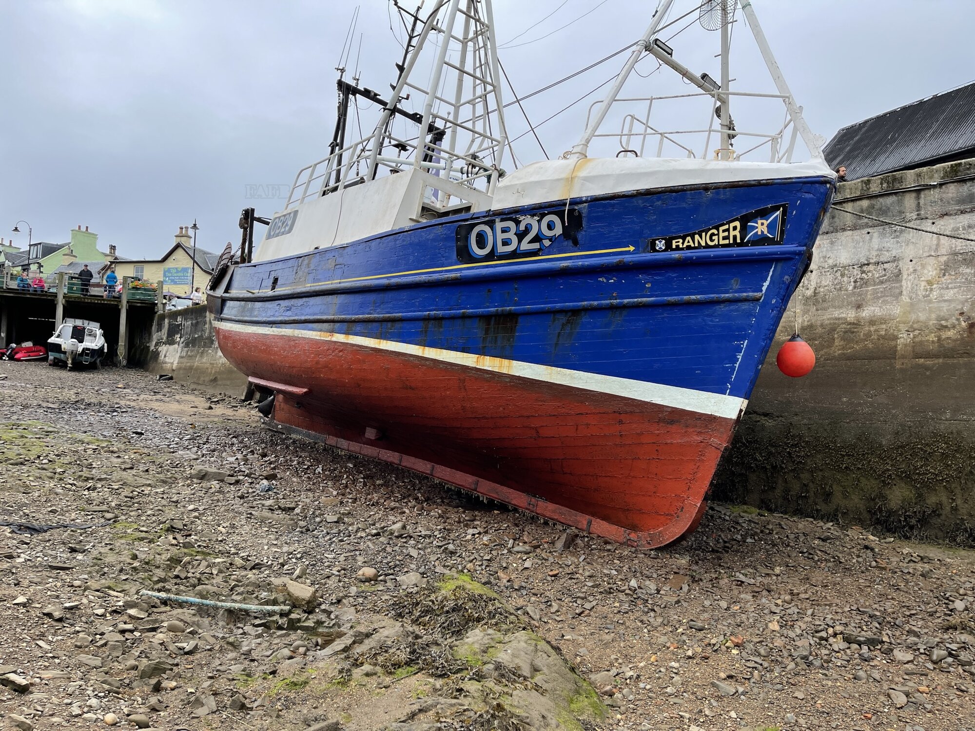 Large picture for advert 113425