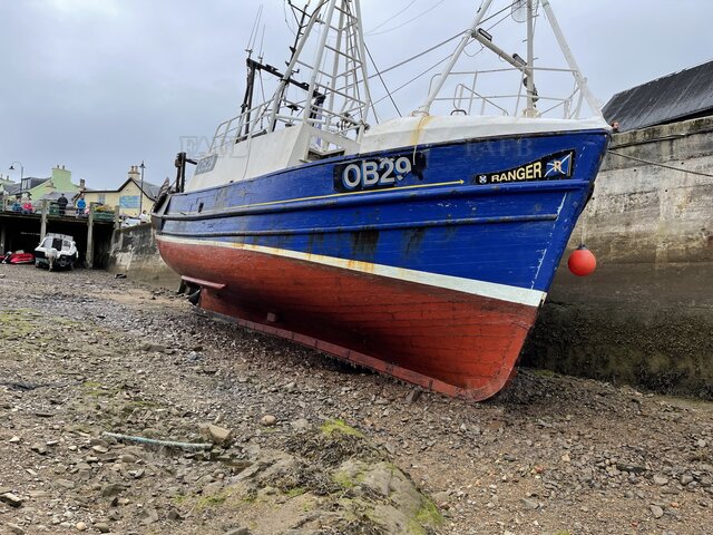 Large picture for advert 113425
