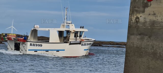 Large picture for advert 127175