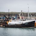 Extra picture for advert 102675