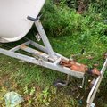 Extra picture for advert 106125