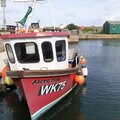 Extra picture for advert 105825
